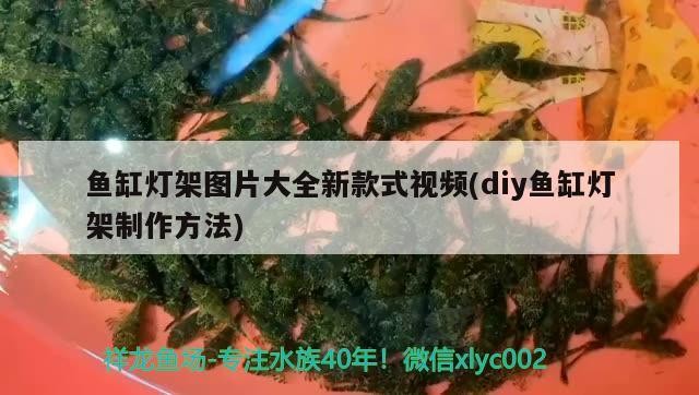 <strong><mark>徐州</mark></strong>哪里賣魚缸好？：<strong><mark>徐州</mark></strong>哪里賣魚缸好一點