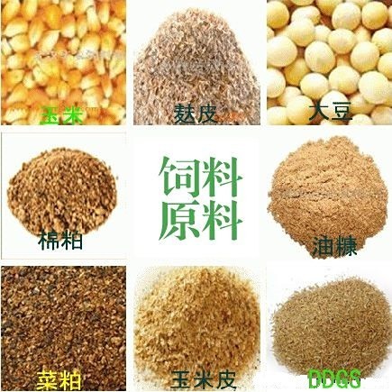 飼料原料目錄清單表(最新)