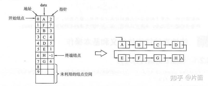 如何用手電筒輔助挑選金龍魚？
