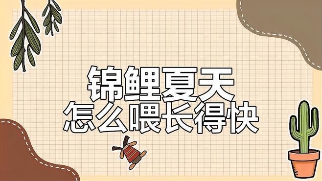 龍魚和錦鯉的喂食頻率應該是多久一次？