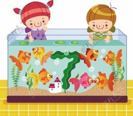 魚缸100張照片（關于魚缸圖片的資源）