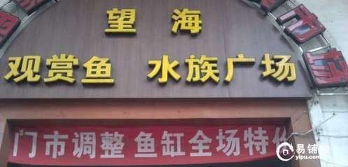 海洋生物魚缸批發(fā)價格：<strong><mark>海城</mark></strong>魚缸養(yǎng)護指南養(yǎng)護指南養(yǎng)護指南