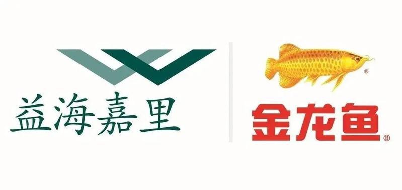 金龍魚校招流程是怎樣的？