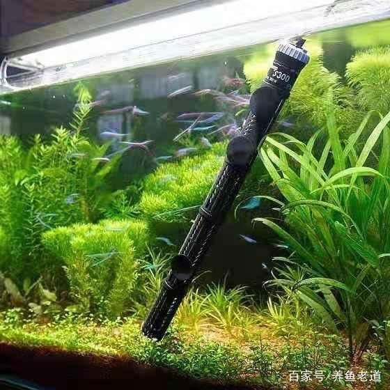 魚缸加熱棒的能源效率是每個養魚愛好者關心的問題：智能溫控系統的應用