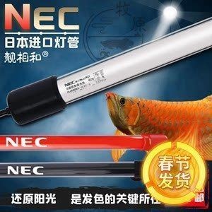蘭州市城關區金藝水族商行（蘭州市城關區金藝水族商行電話）
