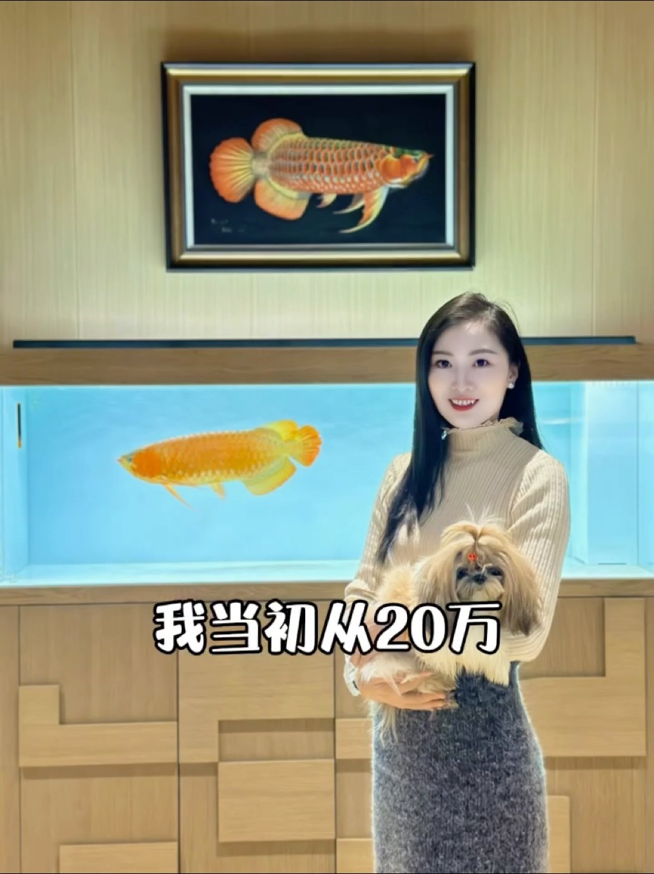 我當初從20萬#我當初只有二十萬 #萬隆天王紅龍 #龍魚 #觀賞魚