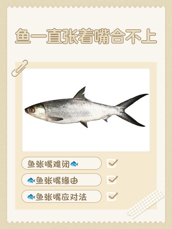 銀龍魚嘴合不上怎么回事