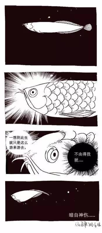 銀龍魚嘴合不上怎么回事