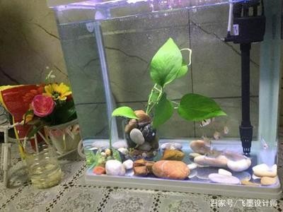 平遙縣梁氏水族館（平遙縣梁氏水族館電話）