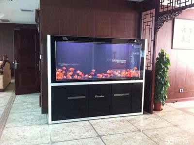 淮安大浪水族科技有限公司