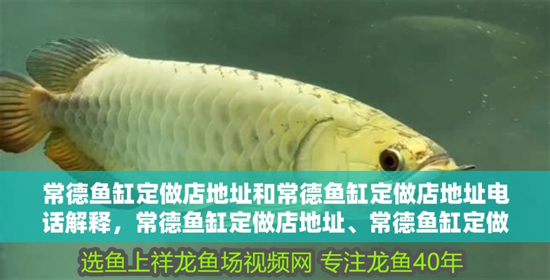 魚缸定做一般在哪訂