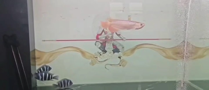一條小賽級喔