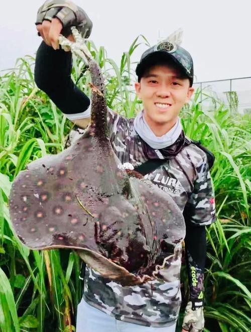 龍魚缸還能養什么魚圖片