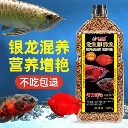 龍魚能和鸚鵡魚混養嗎圖片