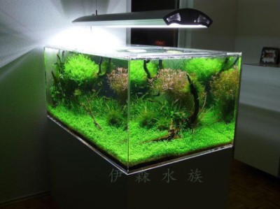 湘潭市雨湖區(qū)聚福水族館（湘潭市雨湖區(qū)聚福水族館地址）