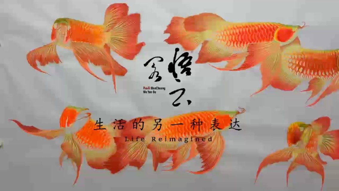 青春少年是樣樣紅 青春少年是樣樣紅 龍魚論壇