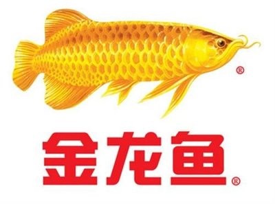 龍魚怕什么 靈山縣景輝水族店(靈山縣景輝水族店電話) 全國水族館企業名錄 靈山縣景輝水族店(靈山縣景輝水族店電話) 靈山縣景輝水族店(靈山縣景輝水族店電話) 全國水族館企業名錄