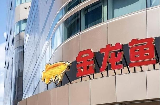 臨河區(qū)和義水族館（臨河區(qū)和義水族館電話(huà)）