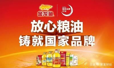 龍魚缸造景好不好呢圖片（龍魚缸造景是否真的好）