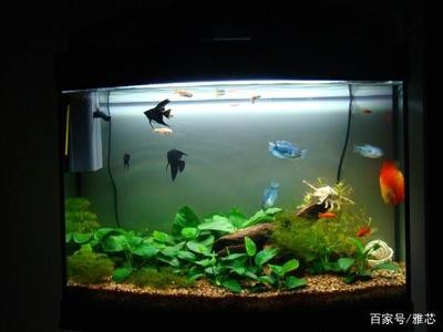 木里縣花屋水族館（木里縣花屋水族館電話）