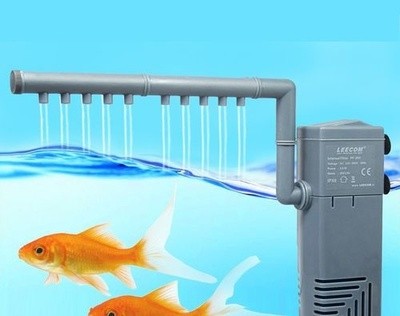 上海市普陀區阿林水族館（上海市普陀區阿林水族館地址）