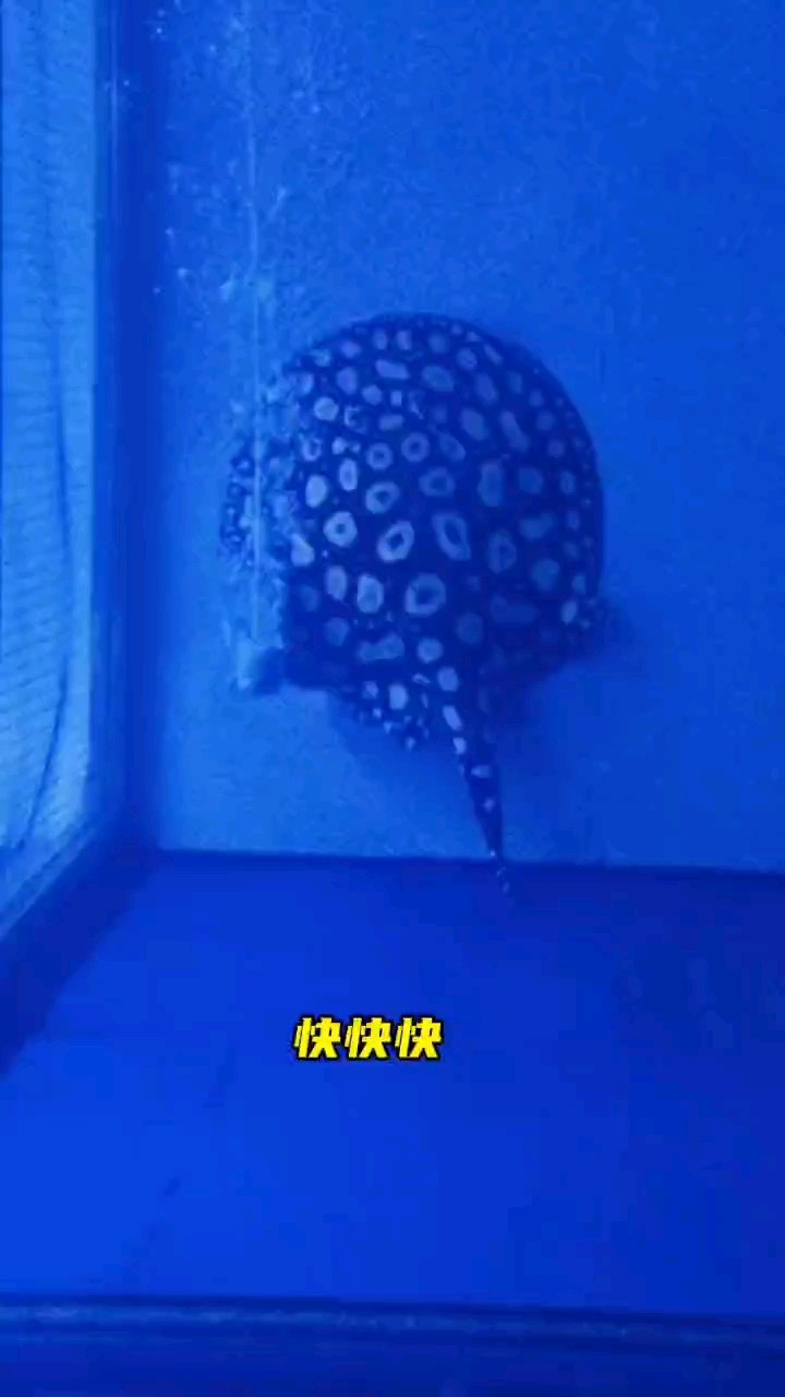 像極了出門前的你