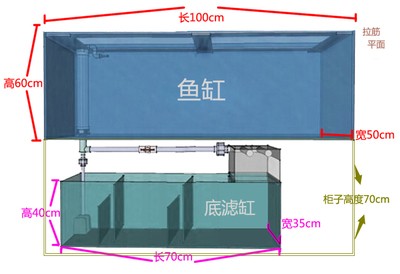 玉林市玉州區(qū)三和水族館（玉林市玉州區(qū)三和水族館地址）