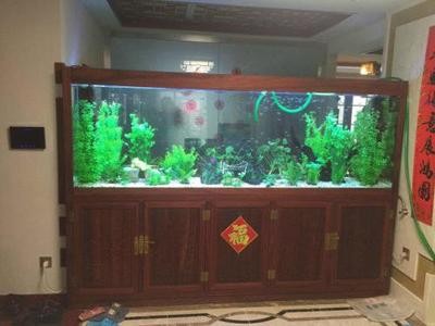 鹽津李忠元水族店（鹽津李忠元水族店電話）