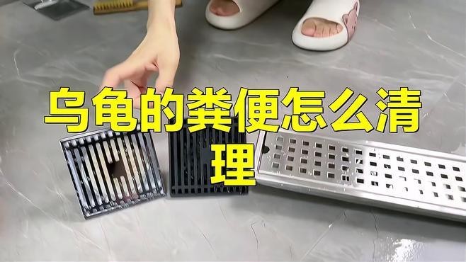 龍龜擺件多久清潔一次合適？ 龍龜擺件多久清潔一次合適？ 龍魚百科 第3張