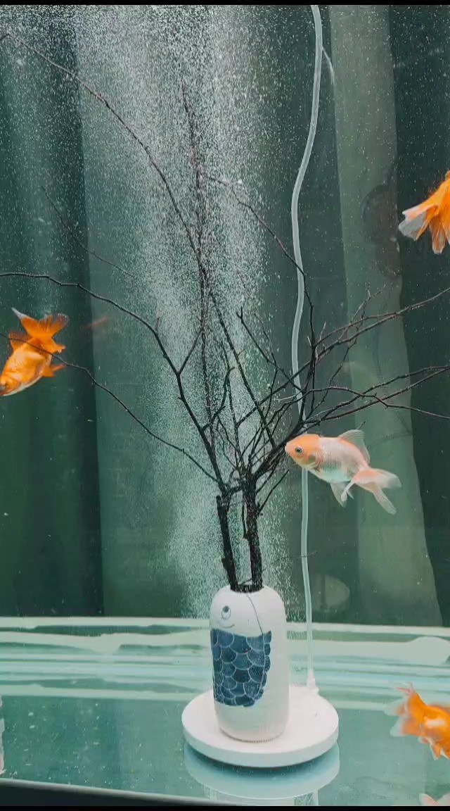 納米氣盤魚缸造景