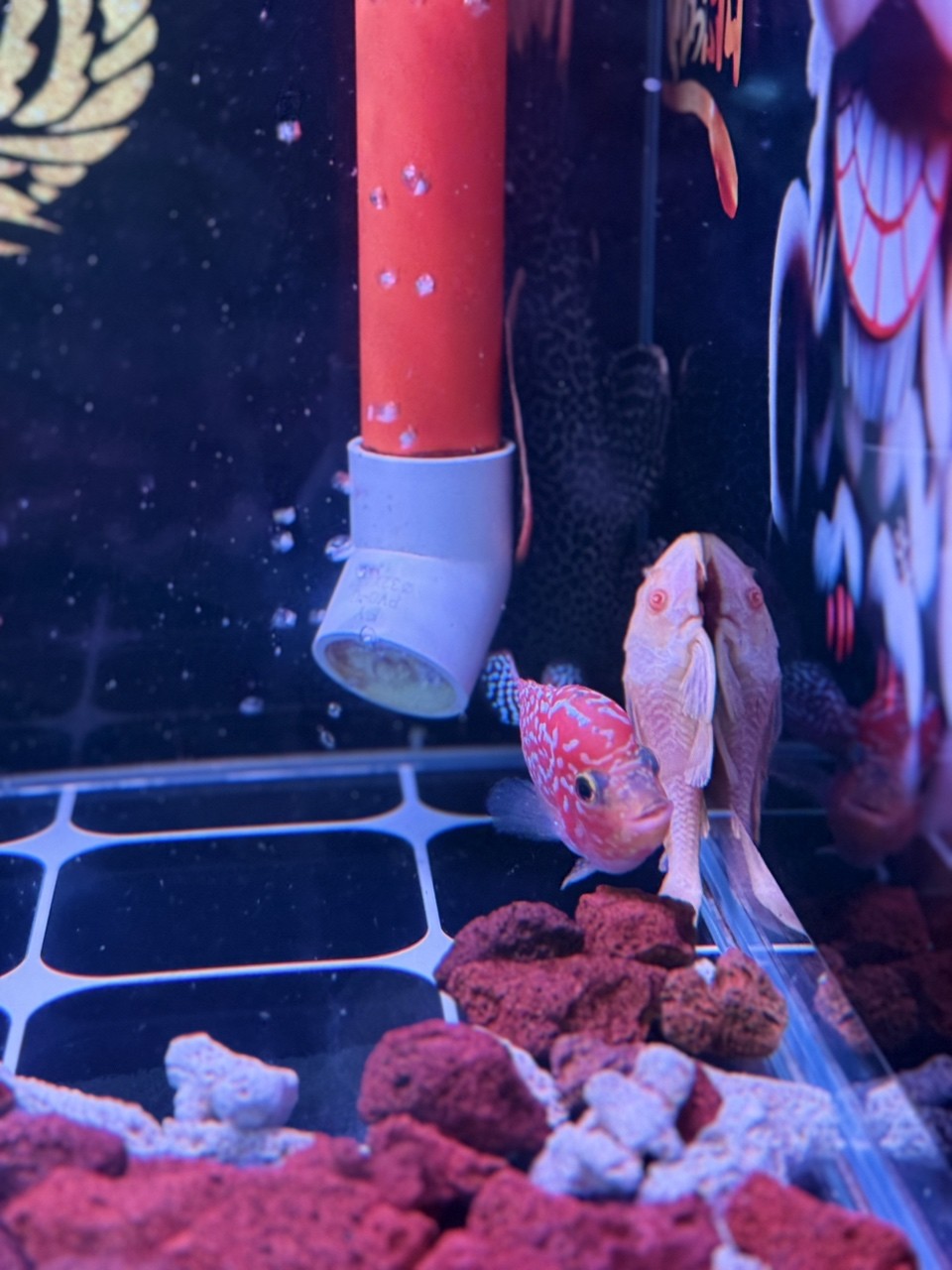 25天