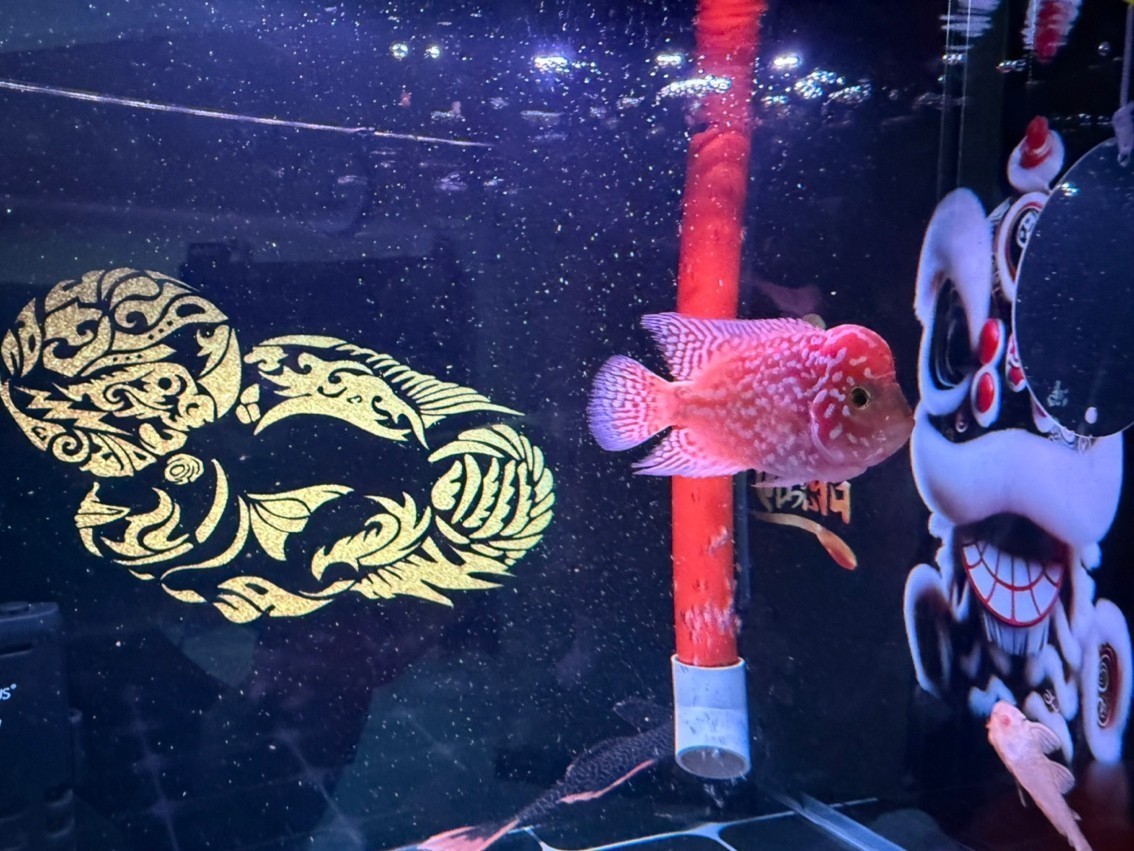 25天