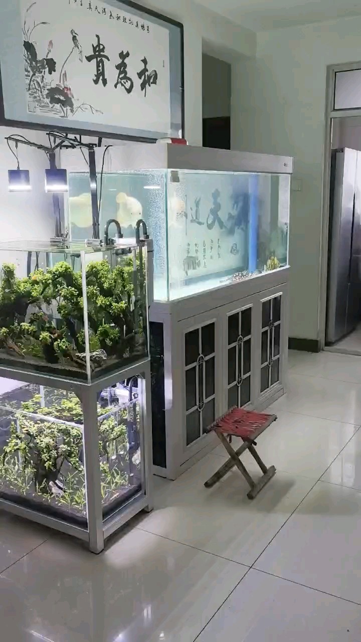 一直在折騰