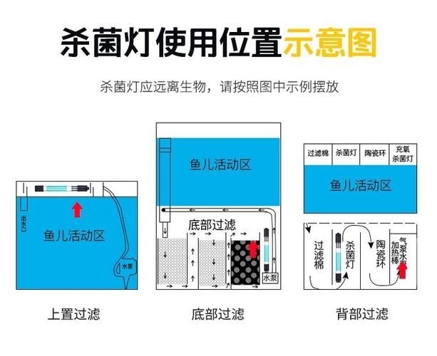 龍魚魚缸在什么情況時可以開殺菌燈呢