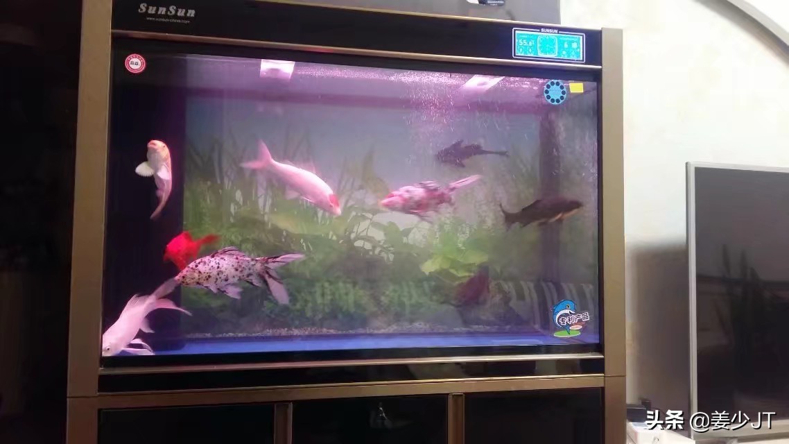 大連中山公園購物廣場百魚亭水族店（大連中山公園購物廣場百魚亭水族店電話）