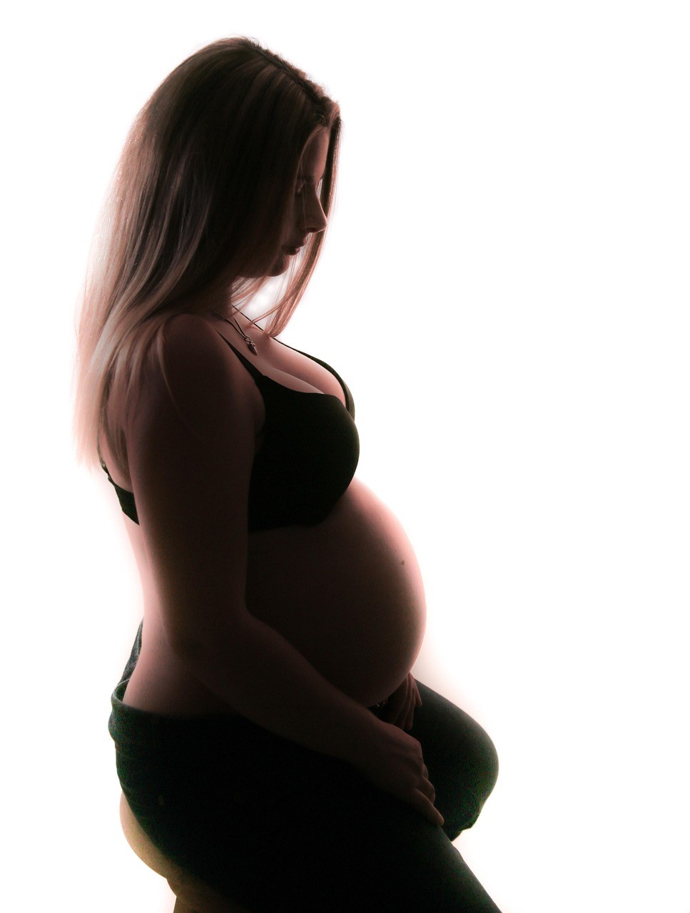 女王大帆公母鑒別圖