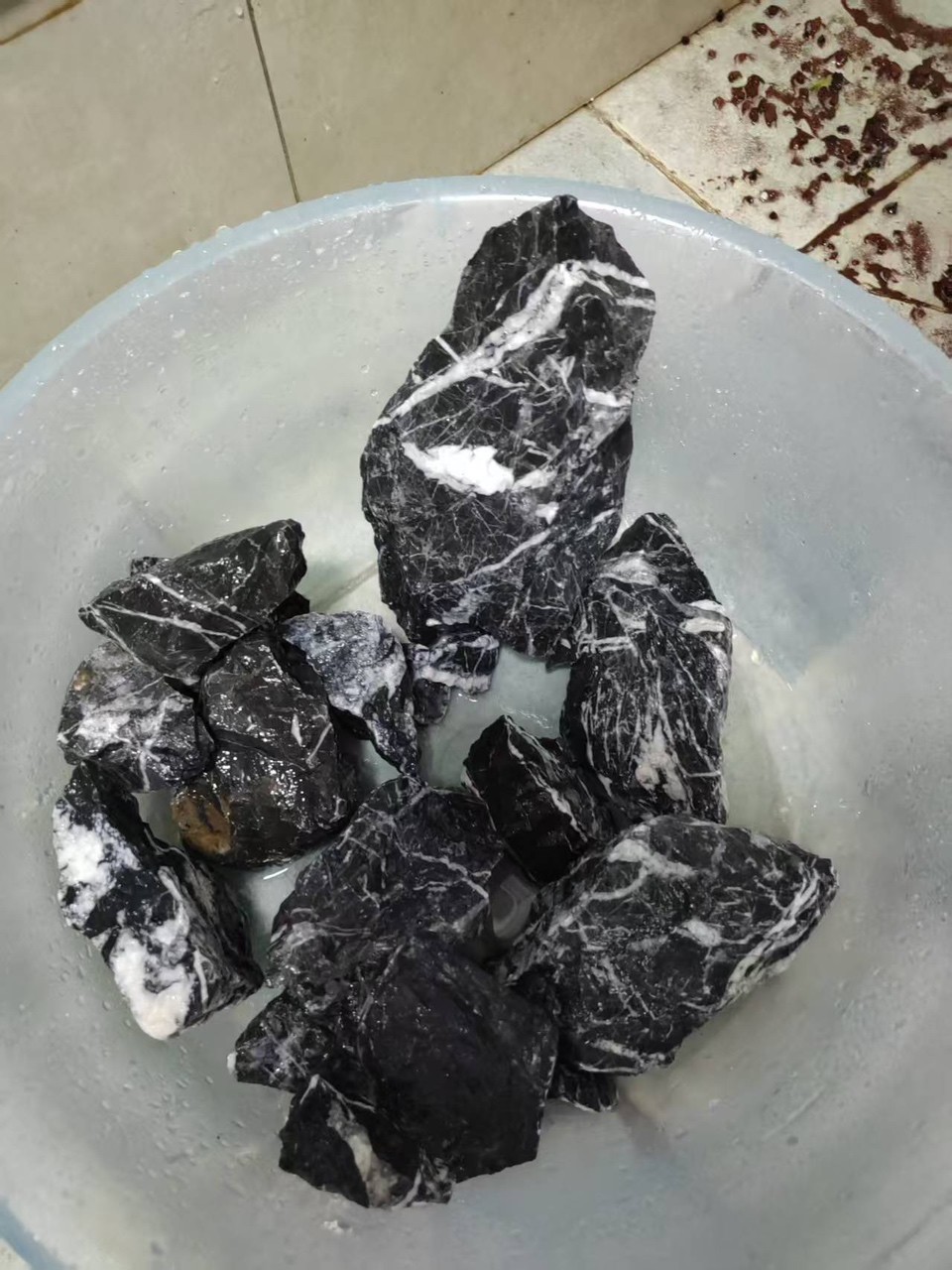 60生態缸，青龍石怎么擺