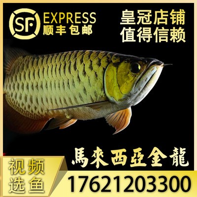 黑龍江永輝超市有限公司哈爾濱松北萬達城店（哈爾濱松北萬達永輝超市電話）