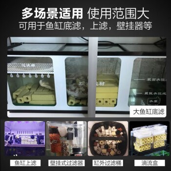 通許縣溫馨魚花店（通許縣溫馨魚花店電話）