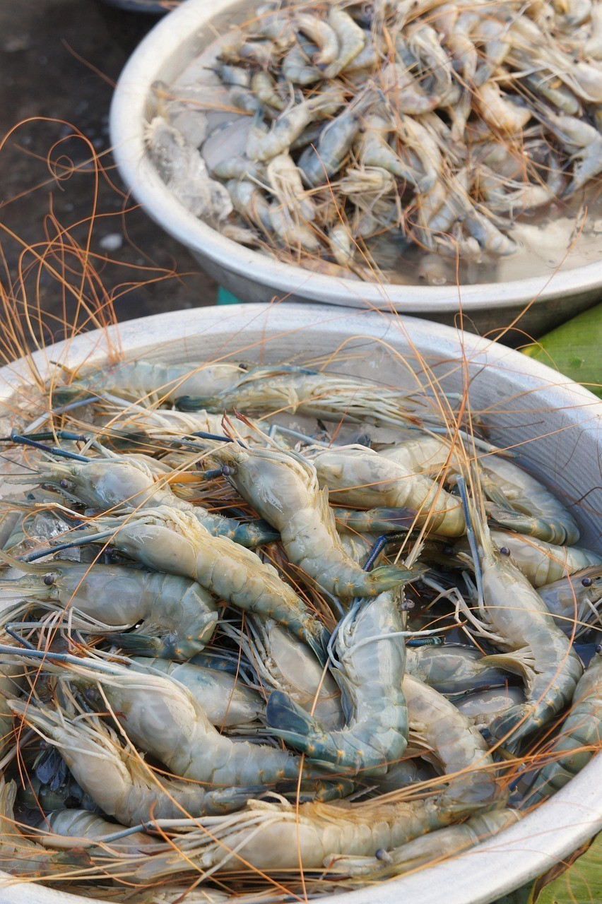 十堰市黃龍魚頭位置