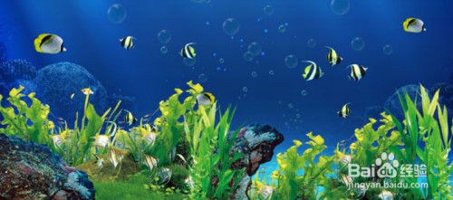 梅州市<strong><mark>梅江</mark></strong>區想吧水族館