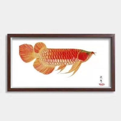 天津龍魚價格表圖片最新