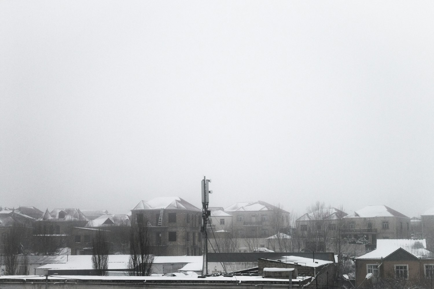 雪龍魚是一種生活在南極洲海域的珍稀魚類，雪龍魚的生活習性，南極洲的瑰寶雪龍魚