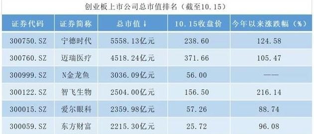 中陽縣閑魚愛寵觀賞魚店