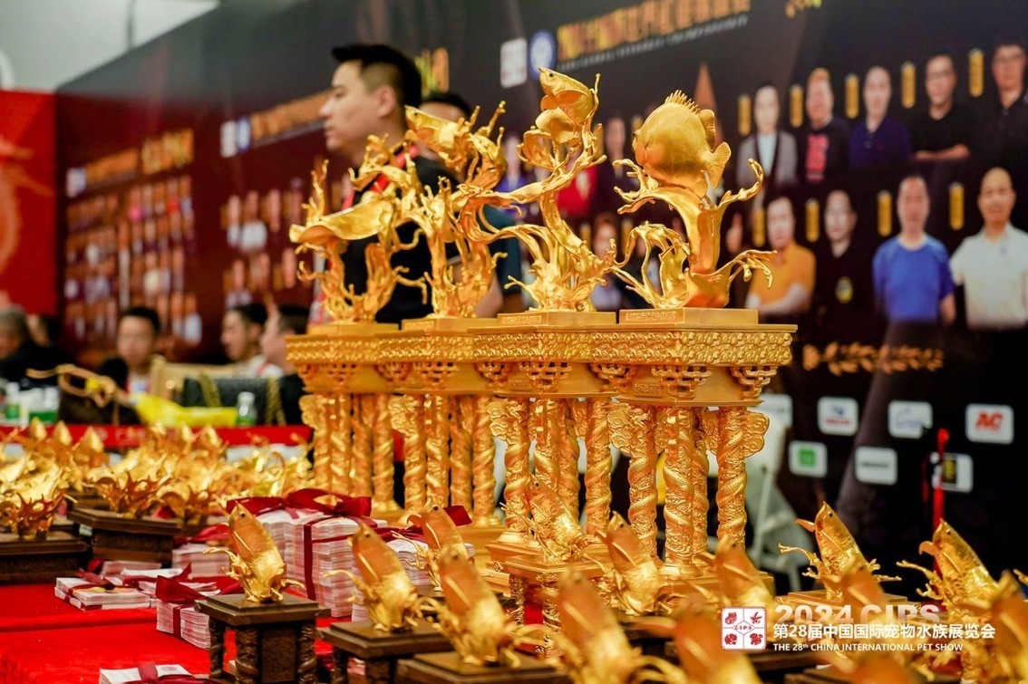 長城寵物展（CIPS）官方賬號入駐龍巔啦