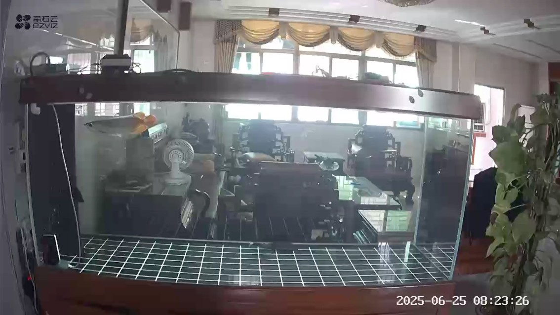 吃太飽了，又作掉了兩個鱗片