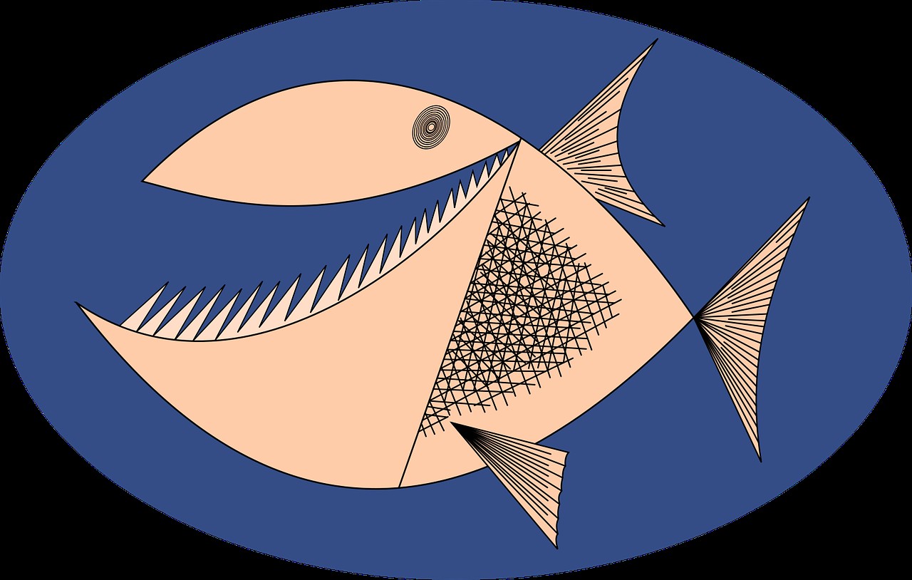 七彩牙魚混養