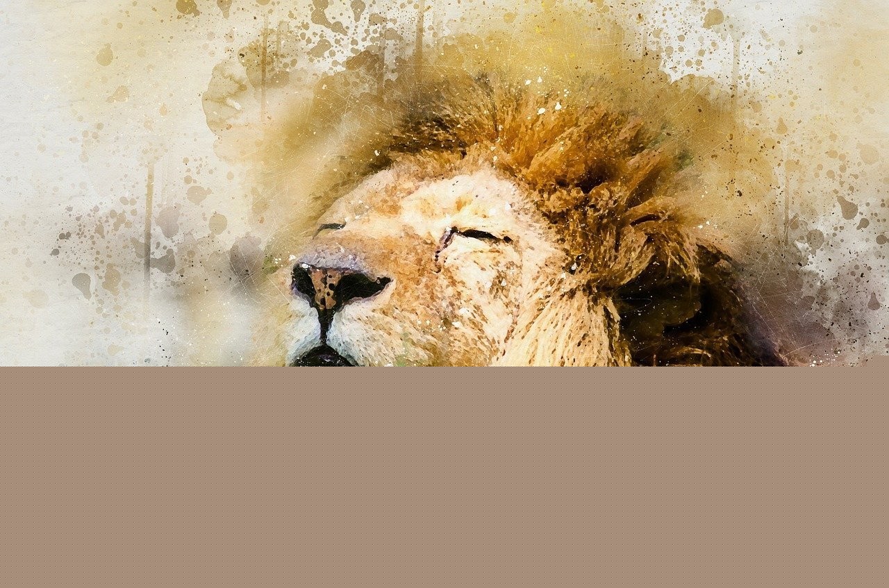 魟魚壽命能活多少年