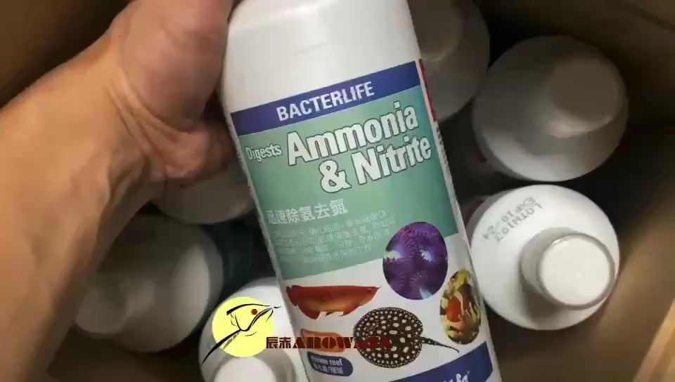 新一批貨到店