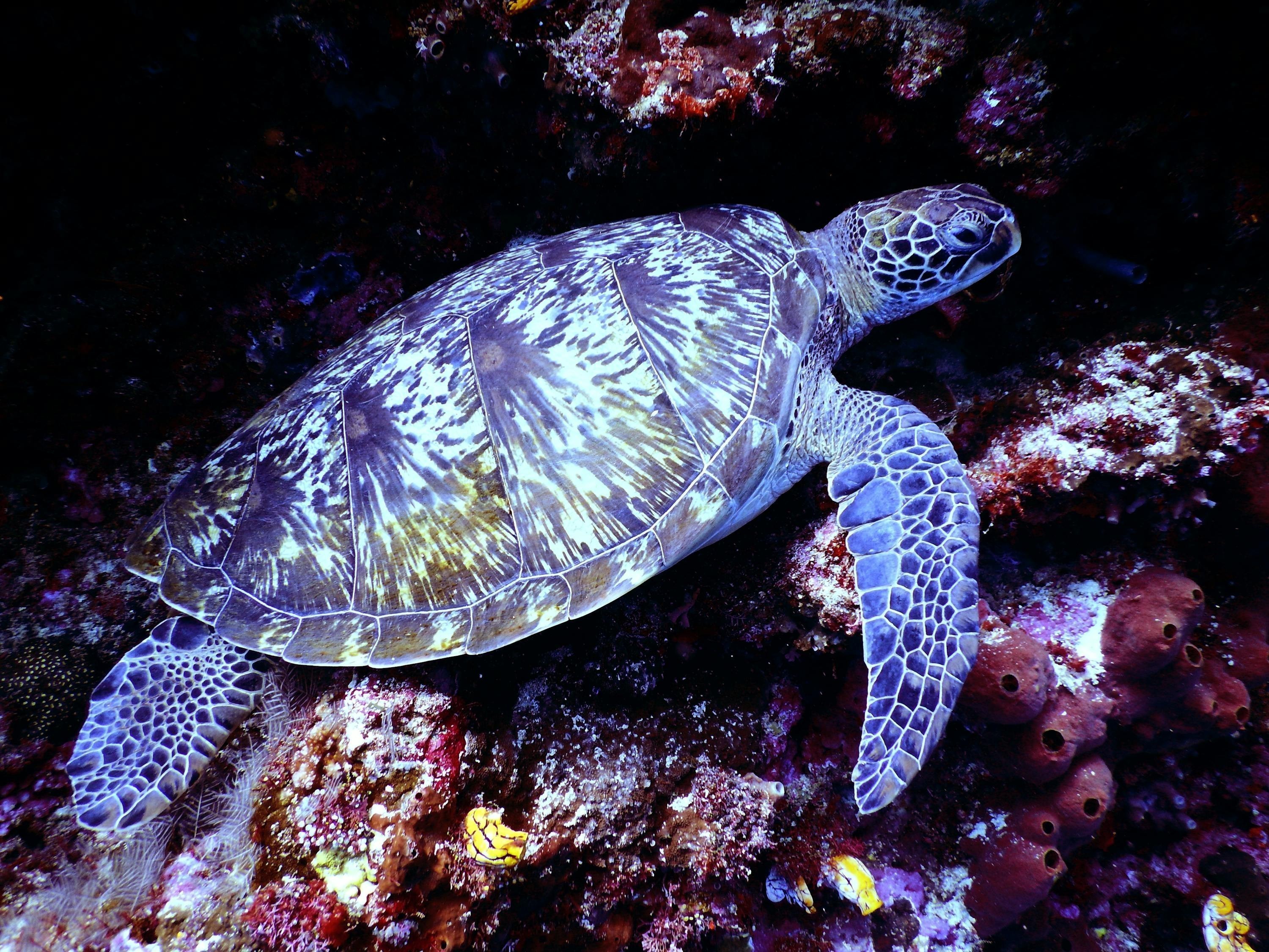 深海水族館官網